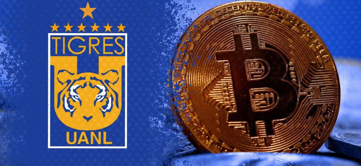 Tigres y bitcoin