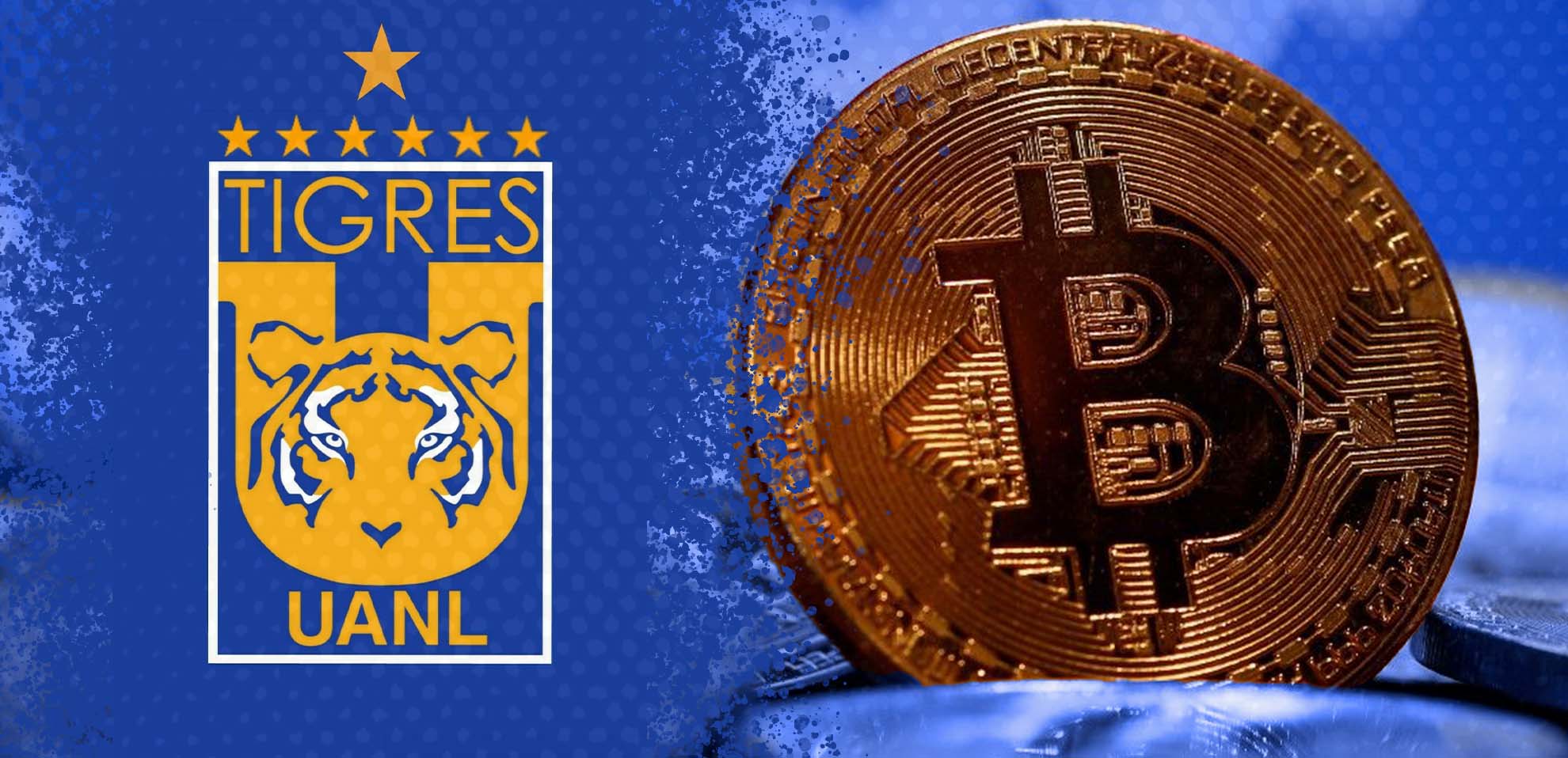 Tigres y bitcoin