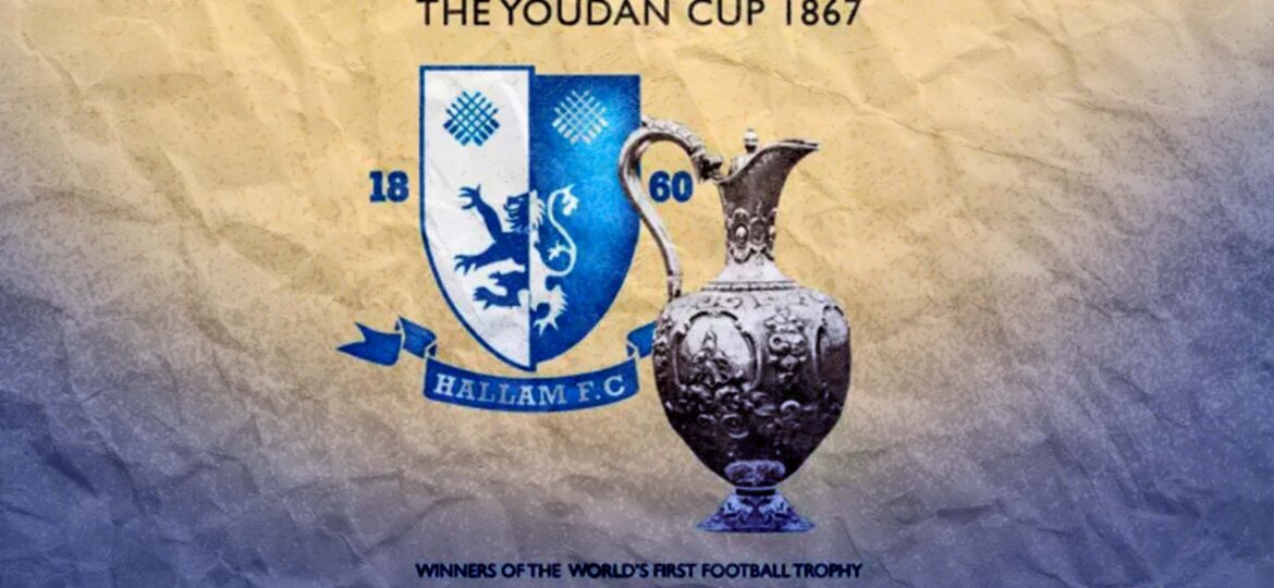 youdan cup