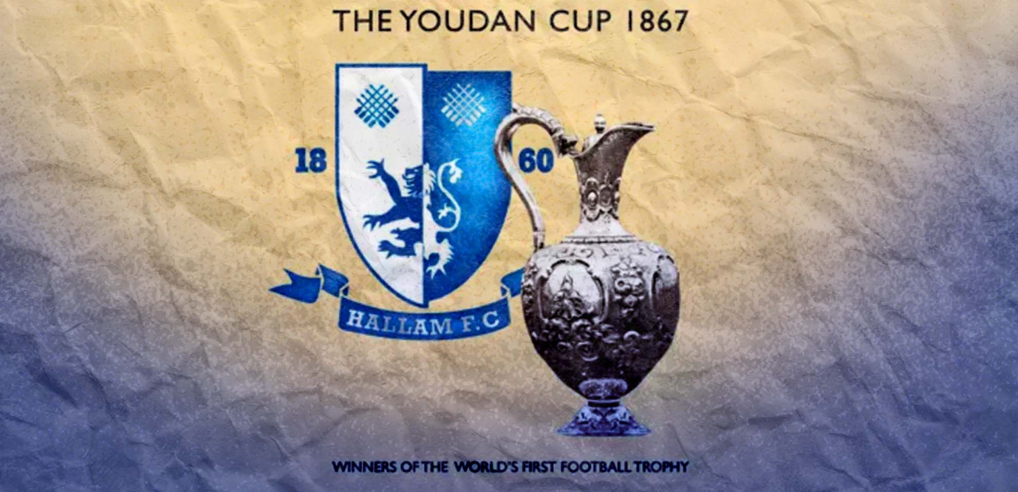 youdan cup